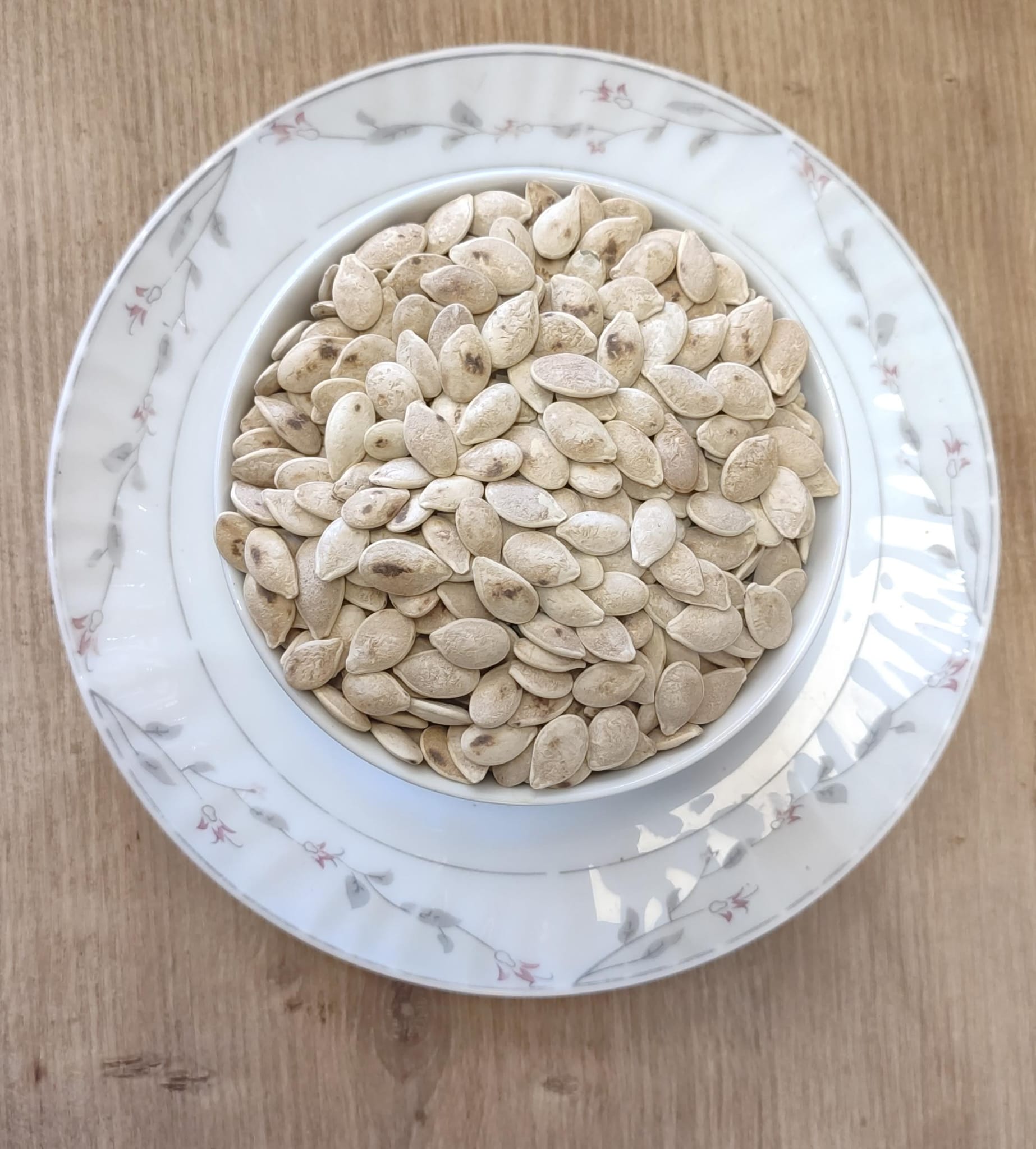 Şişman Balkağa Çekirdeği